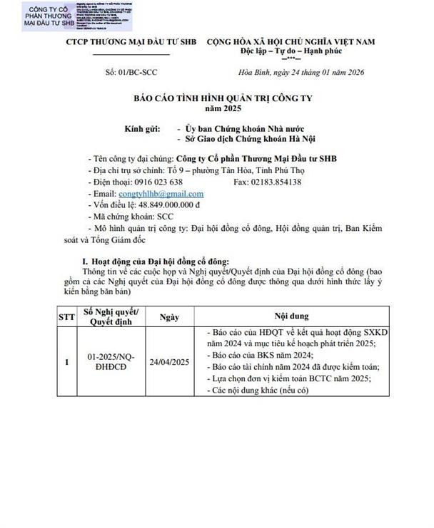 BÁO CÁO QUẢN TRỊ NĂM 2025